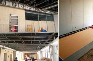 APEC藍天下的室內(nèi)健康守護 龍牌凈醛石膏板